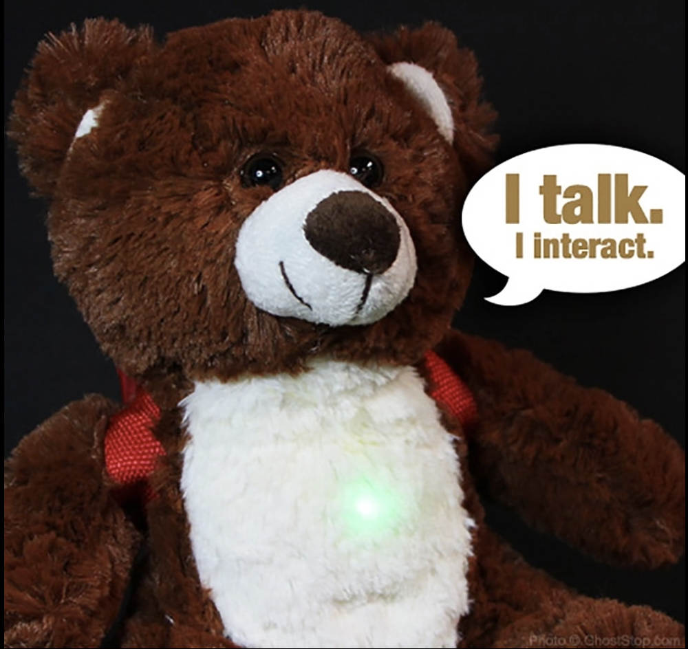 boobuddy talking ghost hunting bear